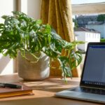 WFH #1: Kerja dari Rumah